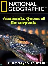 Ver Anaconda: La Reina de las Serpientes (2010) Online Gratis