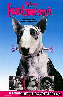 Ver Frankenweenie (1984) Online Gratis