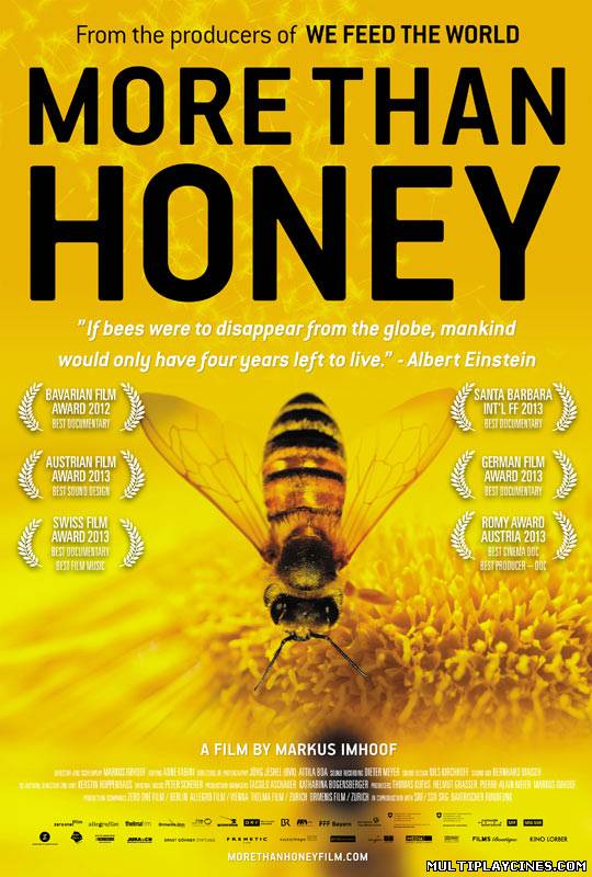 Ver More Than Honey (2012) Online Gratis