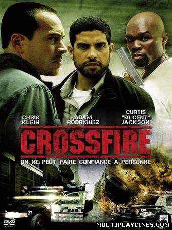 Ver Entre la ley y la calle (Caught in the Crossfire) (2010) Online Gratis