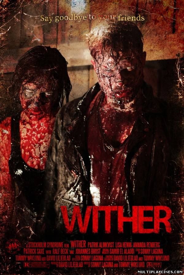 Ver Wither (posesión infernal) (2012) Online Gratis