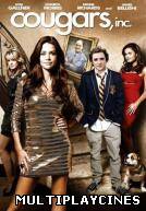 Ver Cougars, Inc. Online Gratis