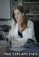 Ver El anillo de Sofía Online Gratis