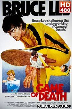 Ver Juego con la muerte (Si wang you ju) (Game of Death) (1978) Online Gratis