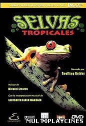 Ver Selvas tropicales IMAX (1992) Online Gratis