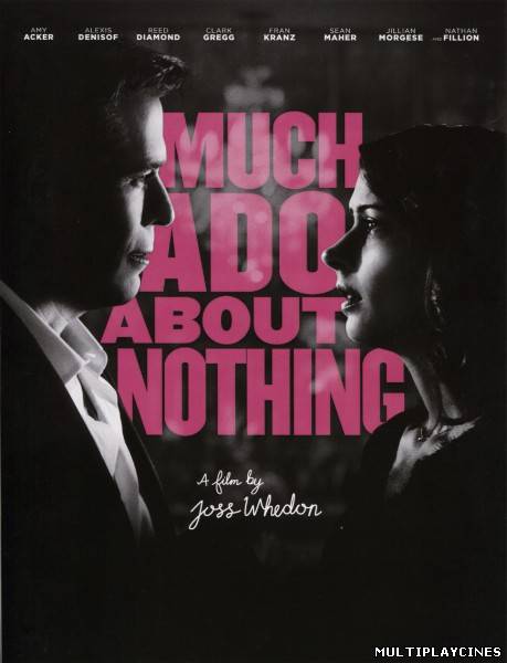 Ver Mucho ruido y pocas nueces / Much Ado About Nothing (2012) Online Gratis