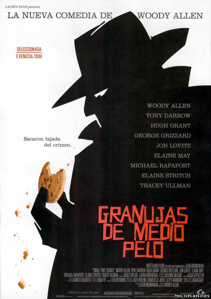 Ver Granujas de medio pelo (Small Time Crooks) (2000) Online Gratis