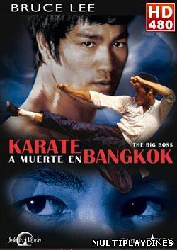 Ver Puños de Furia / Kárate a muerte en Bangkok (Tang shan da xiong) (1971) Online Gratis
