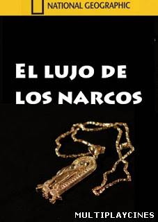 Ver El lujo de los narcos (2011) Online Gratis