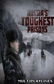 Ver La cárcel más dura de Rusia (2011) Online Gratis