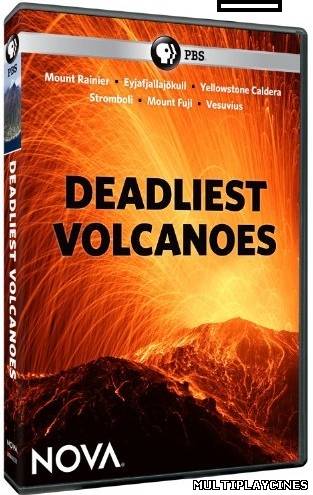 Ver Los Volcanes más Letales (2011) Online Gratis