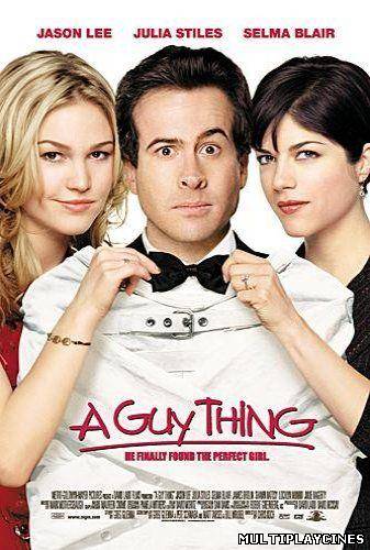 Ver Cosa de Hombres / A Guy Thing (2003) Online Gratis
