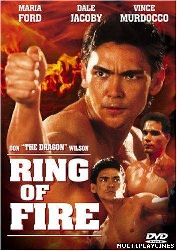 Ver Ring de fuego (1991) Online Gratis