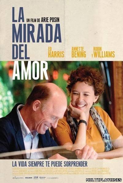 Ver La mirada del amor ( The face of love) (2013) Online Gratis