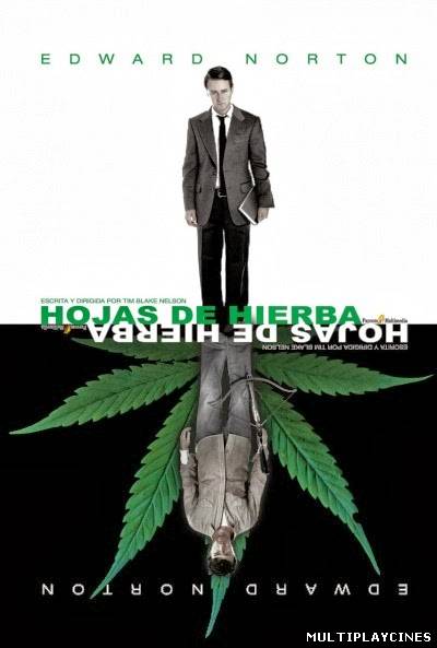 Ver Hojas de hierba  (Leaves of grass) (2013) Online Gratis