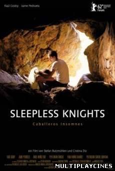 Ver Sleepless Knights (2012) Online Gratis