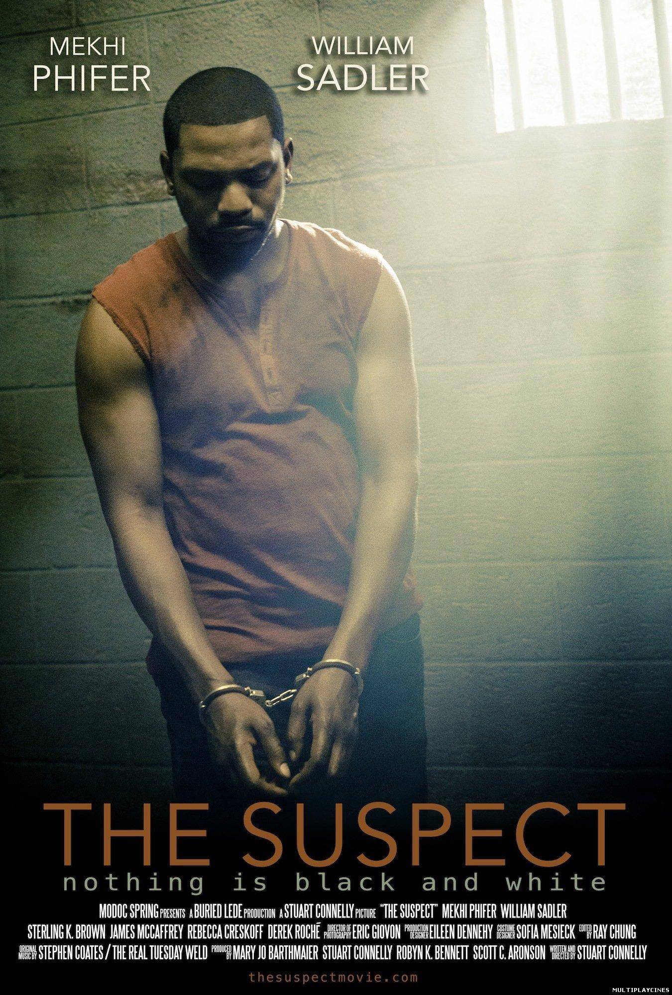 Ver The Suspect (2013) Online Gratis