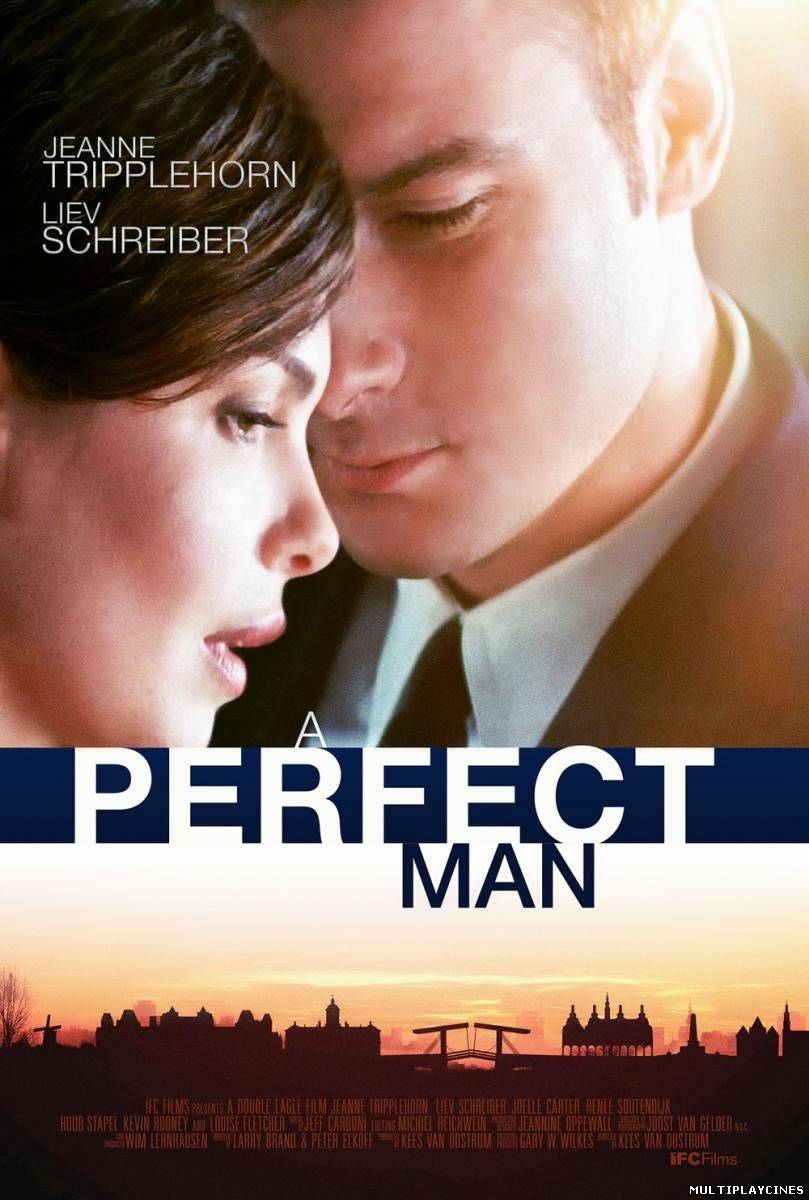 Ver A Perfect Man (2013) Online Gratis