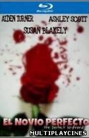 Ver El novio perfecto (The Perfect Boyfriend) (2013) Online Gratis