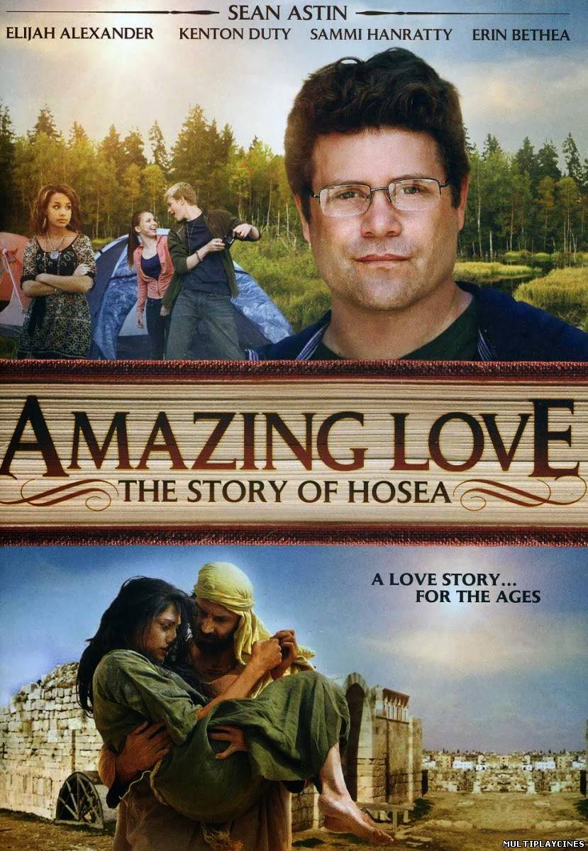 Ver Amazing Love (2012) Online Gratis