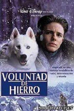 Ver Voluntad de hierro (Iron Will) (1993) Online Gratis