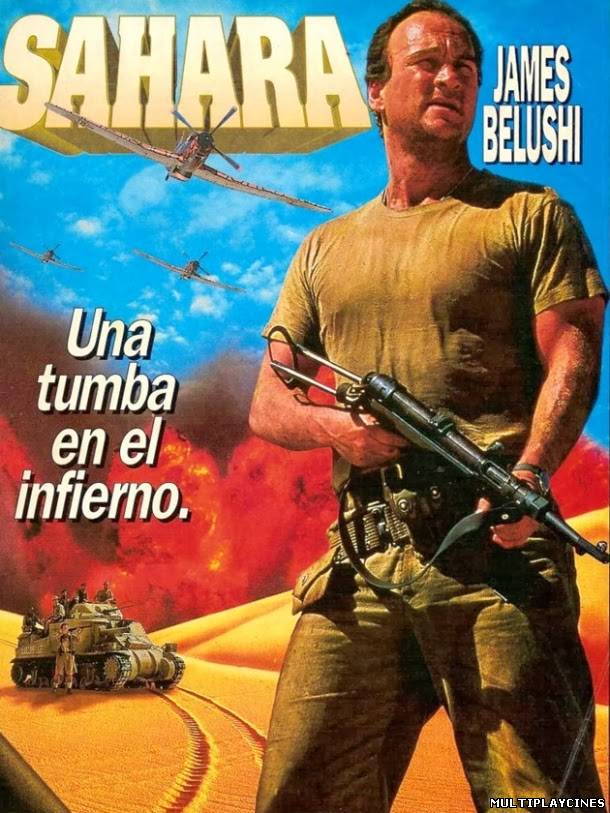 Ver Sahara: La última misión (Sahara) (1993) Online Gratis