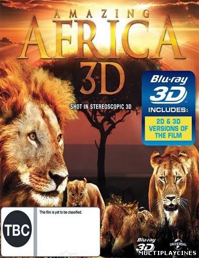 Ver Asombrosa Africa / Amazing Africa (2013) Online Gratis