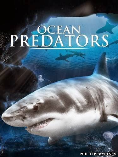 Ver Ocean Predators (2013) Online Gratis