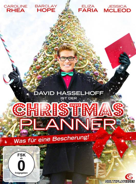 Ver El Consultor de Navidad (The Christmas Consultant) (2012) Online Gratis