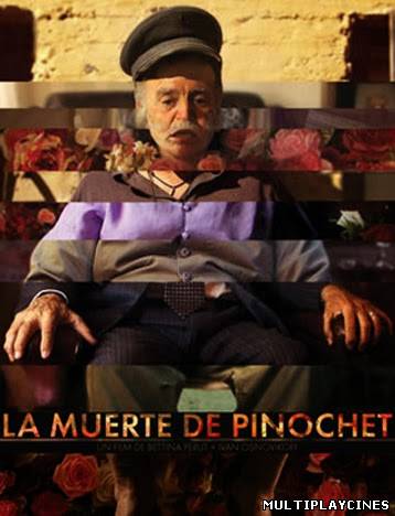 Ver La Muerte De Pinochet (2011) Online Gratis