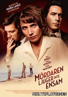 Ver Mördaren ljuger inte ensam (2013) Online Gratis
