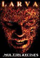 Ver Larva Online Gratis