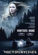 Ver Winter's Bone Online Gratis