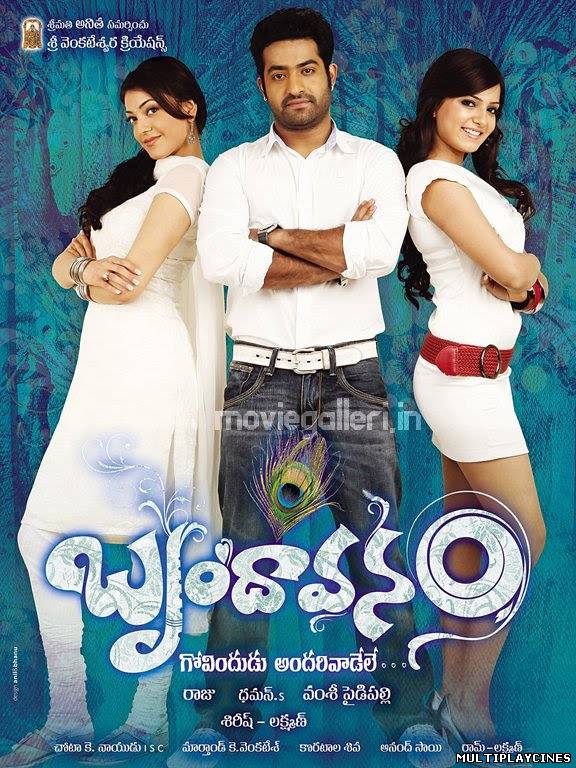 Ver Brindavanam (2010) Online Gratis