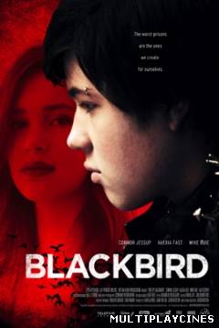 Ver Blackbird (2012) Online Gratis