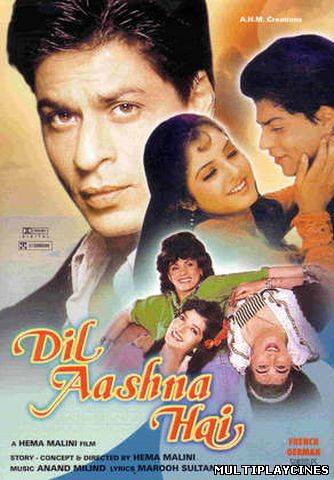 Ver Dil Aashna Hai (1992) Online Gratis