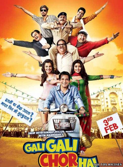 Ver Gali Gali Main Chor Hai (2012) Online Gratis