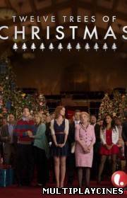 Ver Twelve Trees of Christmas (TV) (2013) Online Gratis