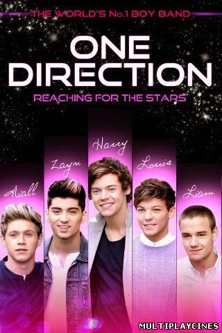 Ver One Direction: Reaching For The Stars (2013) Online Gratis
