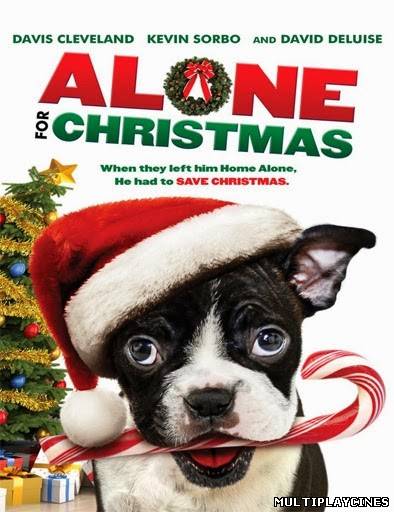 Ver Alone For Christmas (2013) Online Gratis