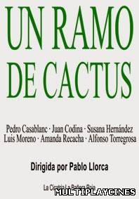 Ver Un Ramo De Cactus (2013) Online Gratis