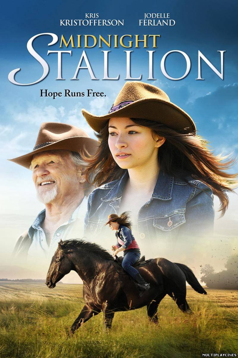 Ver Midnight Stallion (2013) Online Gratis