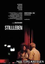 Ver Stilleben (2012) Online Gratis