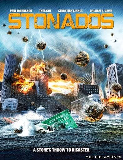 Ver Stonados (2013) Online Gratis