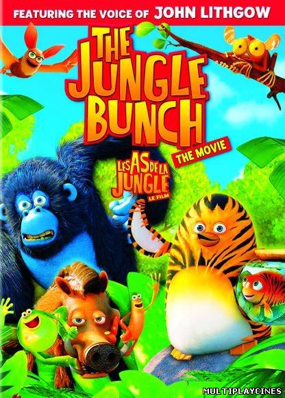 Ver La panda de la selva: de vuelta al hielo (2011) Online Gratis