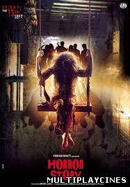 Ver Horror Story (2013) Online Gratis
