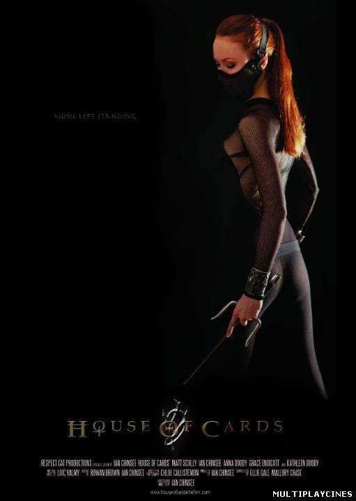 Ver House of Cards (2013) Online Gratis