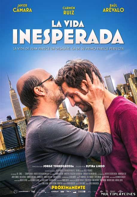 Ver La vida inesperada (2014) Online Gratis