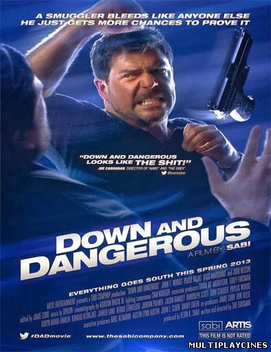 Ver Down and Dangerous (2013) Online Gratis