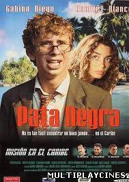 Ver Pata negra (2001) Online Gratis